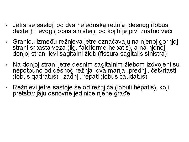  • Jetra se sastoji od dva nejednaka režnja, desnog (lobus dexter) i levog