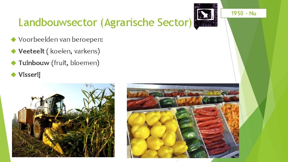 Landbouwsector (Agrarische Sector) Voorbeelden van beroepen: Veeteelt ( koeien, varkens) Tuinbouw (fruit, bloemen) Visserij