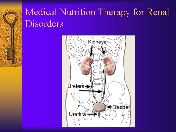 Medical Nutrition Therapy for Renal Disorders . 