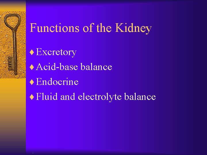 Functions of the Kidney ¨ Excretory ¨ Acid-base balance ¨ Endocrine ¨ Fluid and