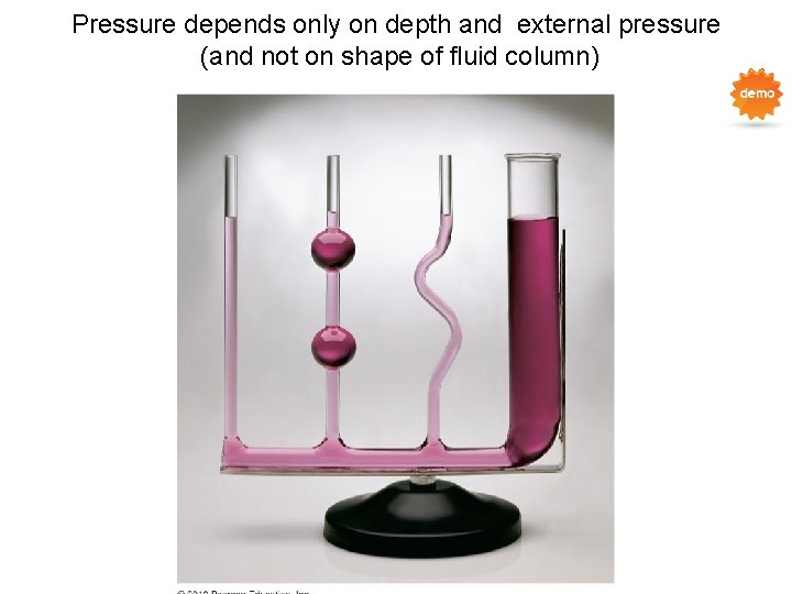 Pressure depends only on depth and external pressure (and not on shape of fluid Pressure depends only on depth and external pressure (and not on shape of fluid