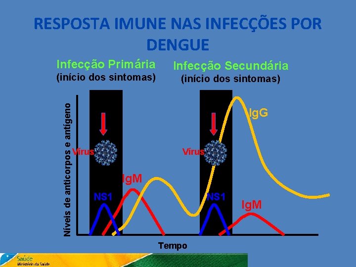 RESPOSTA IMUNE NAS INFECÇÕES POR DENGUE Infecção Primária Níveis de anticorpos e antígeno (início