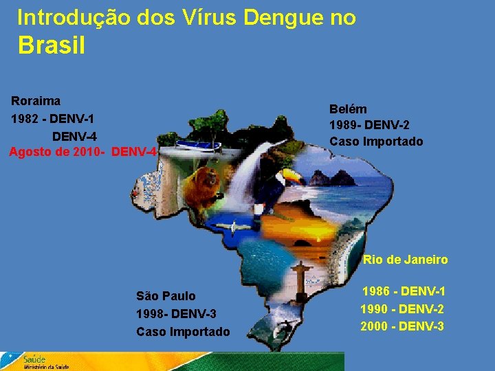 Introdução dos Vírus Dengue no Brasil Roraima 1982 - DENV-1 DENV-4 Agosto de 2010