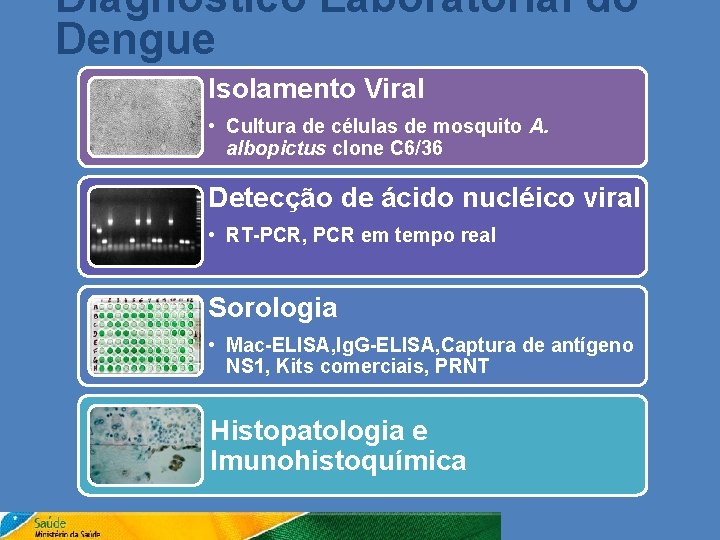 Diagnóstico Laboratorial do Dengue Isolamento Viral • Cultura de células de mosquito A. albopictus