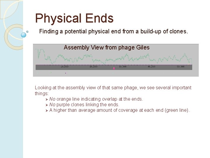 Physical Ends Finding a potential physical end from a build-up of clones. Assembly View