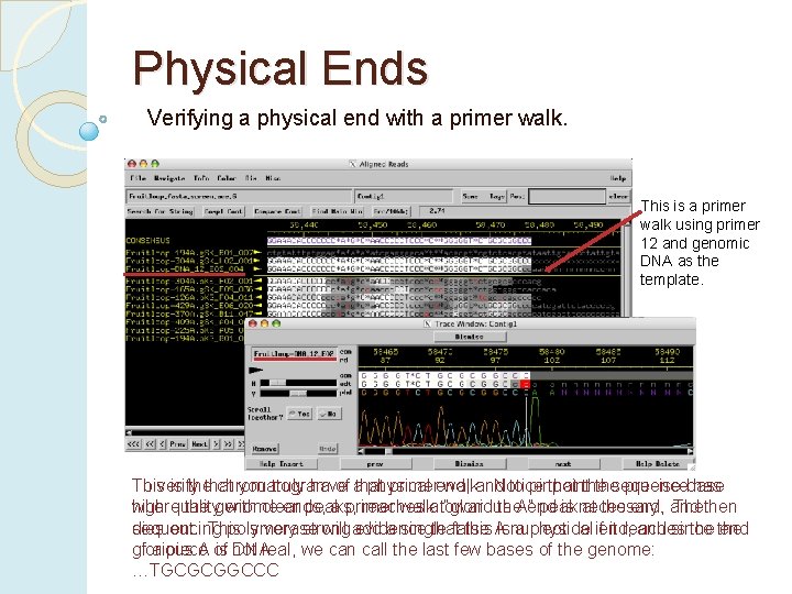 Physical Ends Verifying a physical end with a primer walk. This is a primer