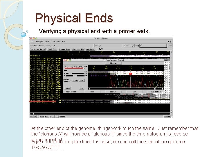 Physical Ends Verifying a physical end with a primer walk. At the other end