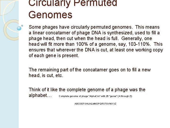Circularly Permuted Genomes Some phages have circularly permuted genomes. This means a linear concatamer