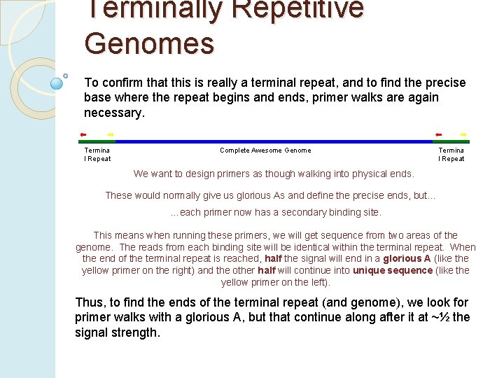 Terminally Repetitive Genomes To confirm that this is really a terminal repeat, and to