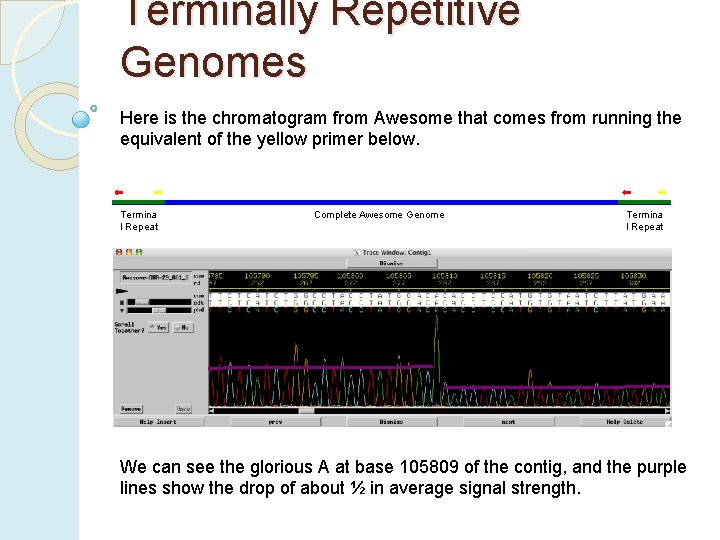 Terminally Repetitive Genomes Here is the chromatogram from Awesome that comes from running the