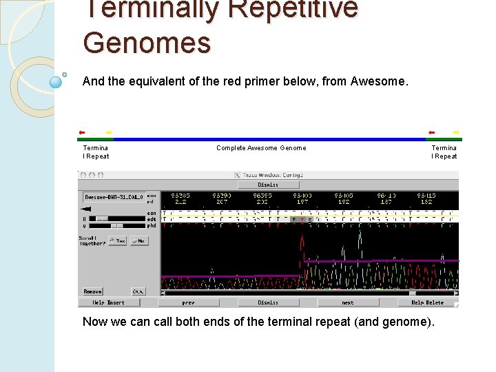 Terminally Repetitive Genomes And the equivalent of the red primer below, from Awesome. Termina