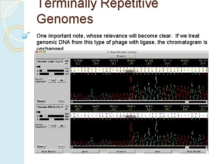 Terminally Repetitive Genomes One important note, whose relevance will become clear. If we treat