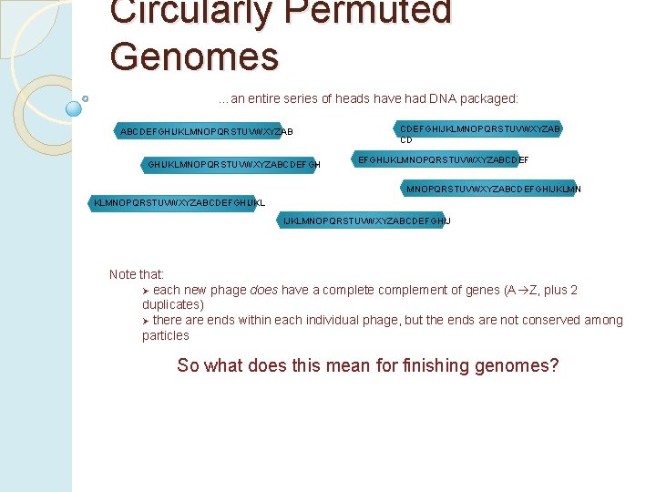 Circularly Permuted Genomes …an entire series of heads have had DNA packaged: ABCDEFGHIJKLMNOPQRSTUVWXYZABCDEFGHIJKLMNOPQRSTUVWXYZAB CD