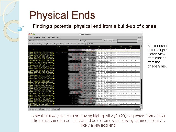 Physical Ends Finding a potential physical end from a build-up of clones. A screenshot