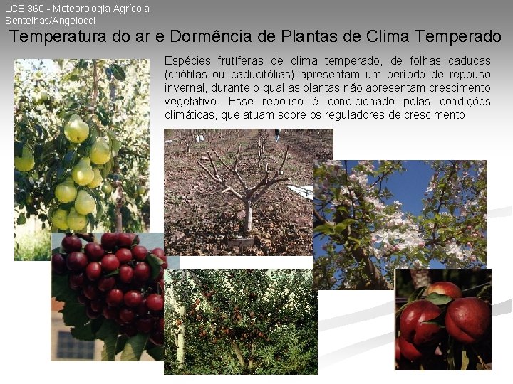 LCE 360 - Meteorologia Agrícola Sentelhas/Angelocci Temperatura do ar e Dormência de Plantas de