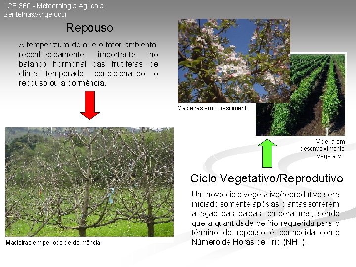 LCE 360 - Meteorologia Agrícola Sentelhas/Angelocci Repouso A temperatura do ar é o fator