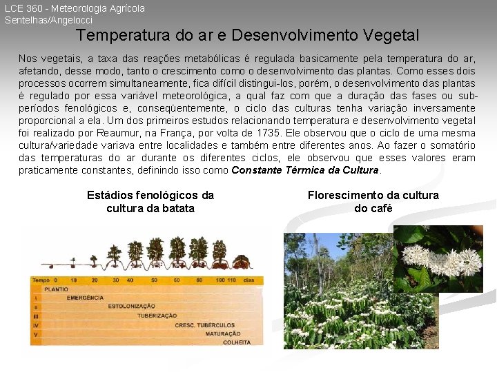 LCE 360 - Meteorologia Agrícola Sentelhas/Angelocci Temperatura do ar e Desenvolvimento Vegetal Nos vegetais,