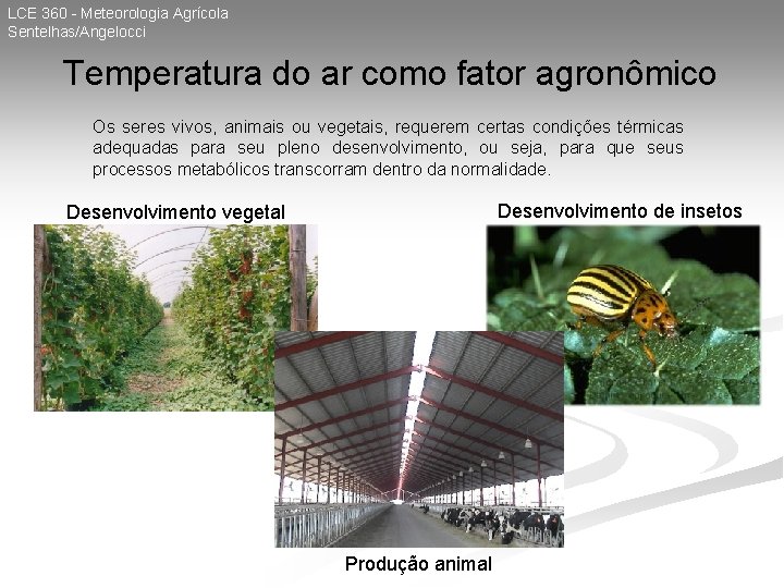 LCE 360 - Meteorologia Agrícola Sentelhas/Angelocci Temperatura do ar como fator agronômico Os seres
