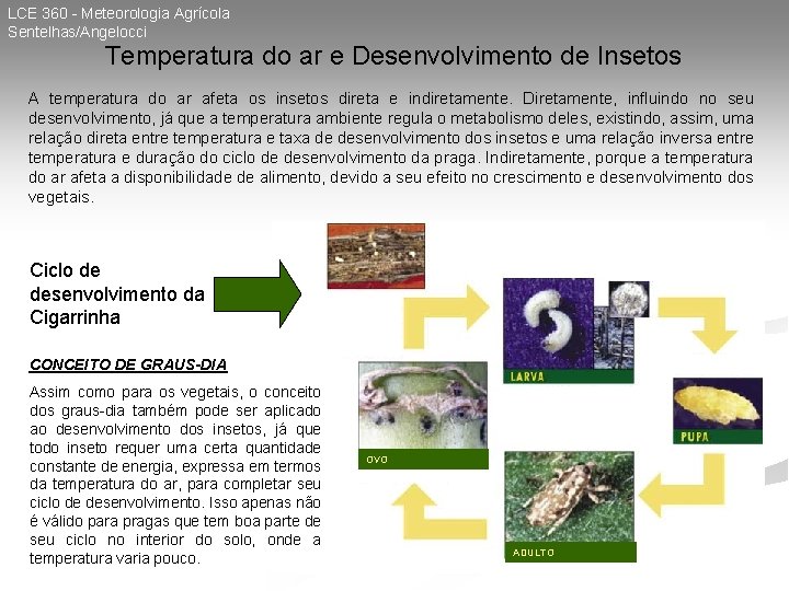 LCE 360 - Meteorologia Agrícola Sentelhas/Angelocci Temperatura do ar e Desenvolvimento de Insetos A