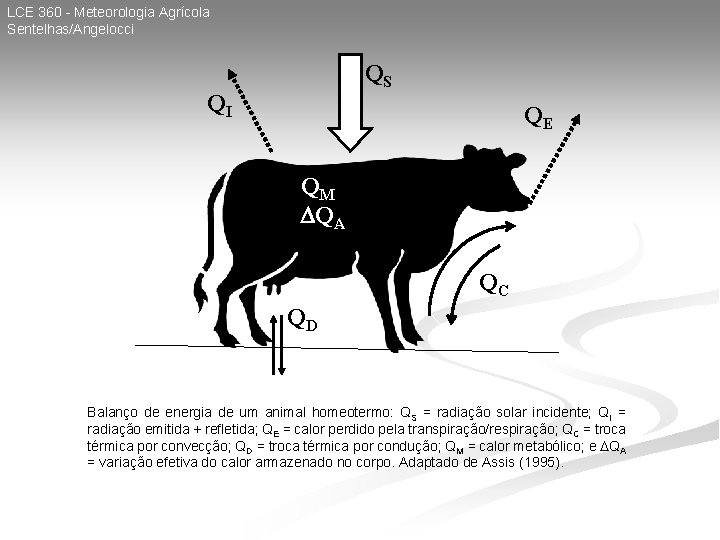 LCE 360 - Meteorologia Agrícola Sentelhas/Angelocci QS QI QE QM QA QC QD Balanço