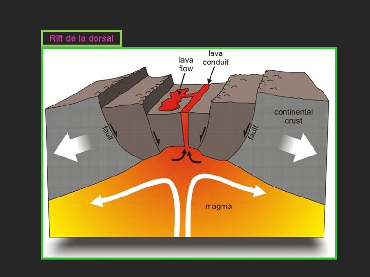 Rift de la dorsal 