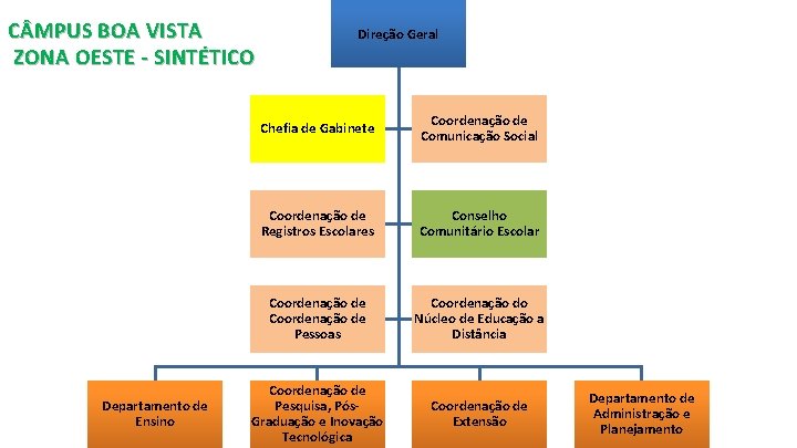 C MPUS BOA VISTA ZONA OESTE - SINTÉTICO Departamento de Ensino Direção Geral Chefia