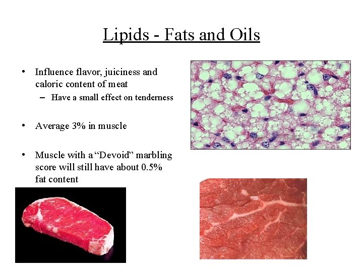 Lipids - Fats and Oils • Influence flavor, juiciness and caloric content of meat