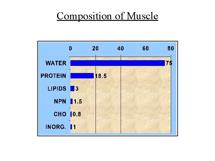 Composition of Muscle 