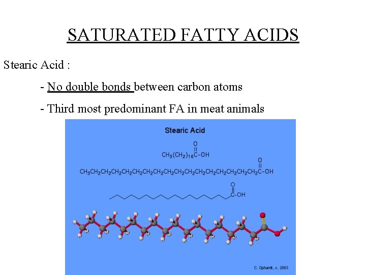 SATURATED FATTY ACIDS Stearic Acid : - No double bonds between carbon atoms -