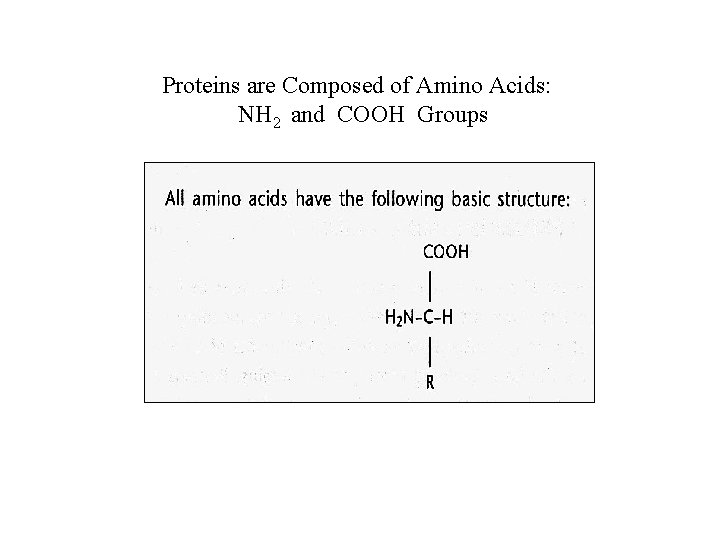 Proteins are Composed of Amino Acids: NH 2 and COOH Groups 