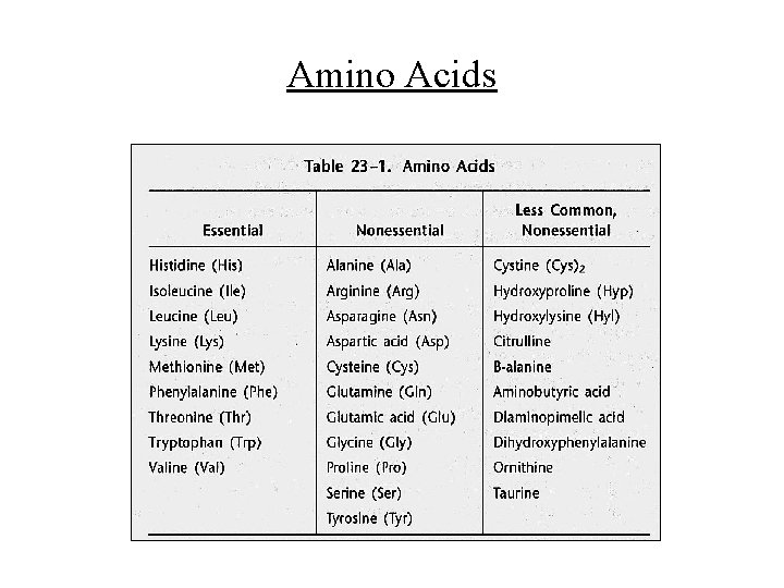 Amino Acids 