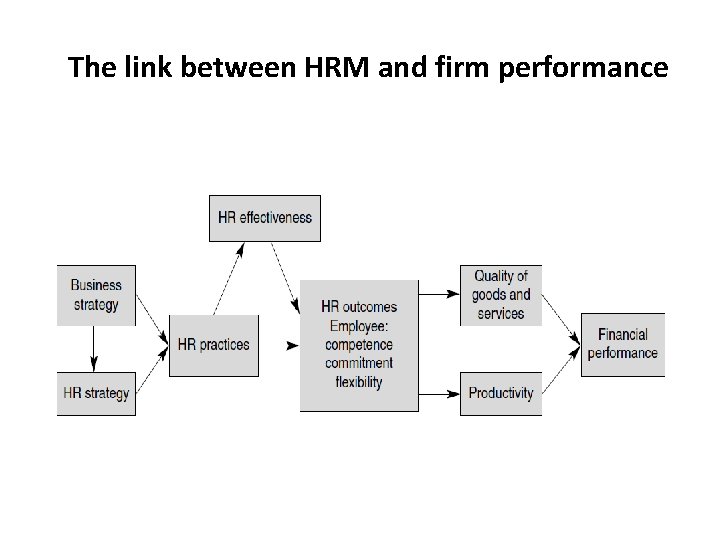 The link between HRM and firm performance 