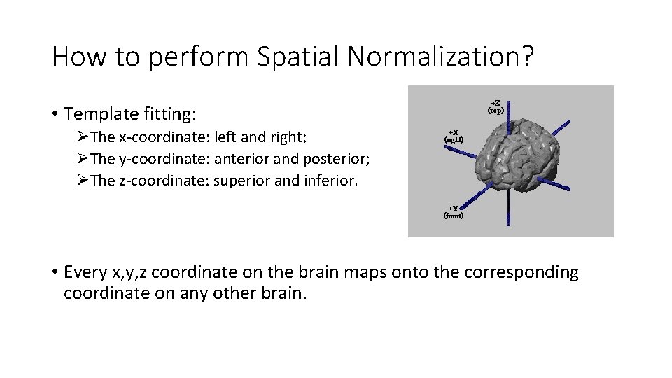 How to perform Spatial Normalization? • Template fitting: ØThe x-coordinate: left and right; ØThe