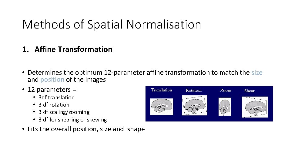 Methods of Spatial Normalisation 1. Affine Transformation • Determines the optimum 12 -parameter affine