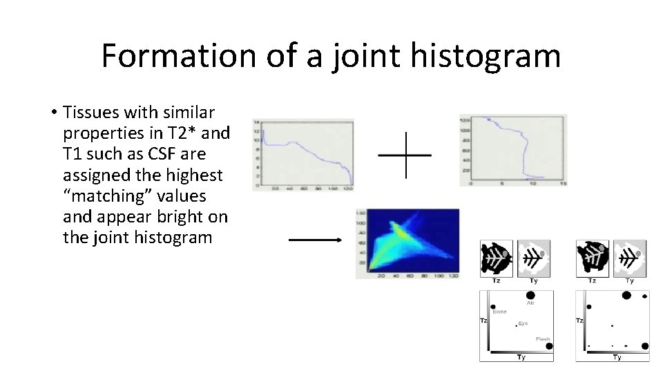 Formation of a joint histogram • Tissues with similar properties in T 2* and