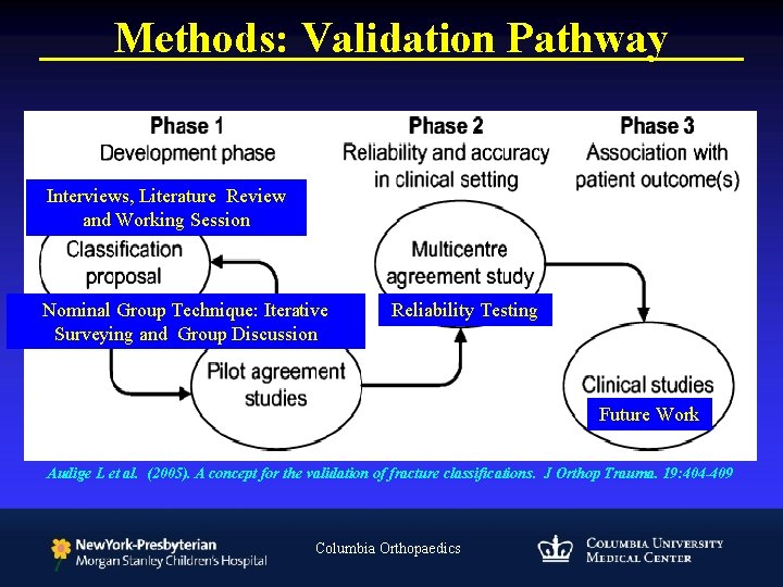 Methods: Validation Pathway Interviews, Literature Review and Working Session Nominal Group Technique: Iterative Surveying