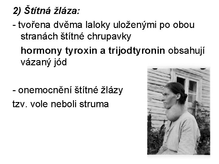 2) Štítná žláza: - tvořena dvěma laloky uloženými po obou stranách štítné chrupavky hormony