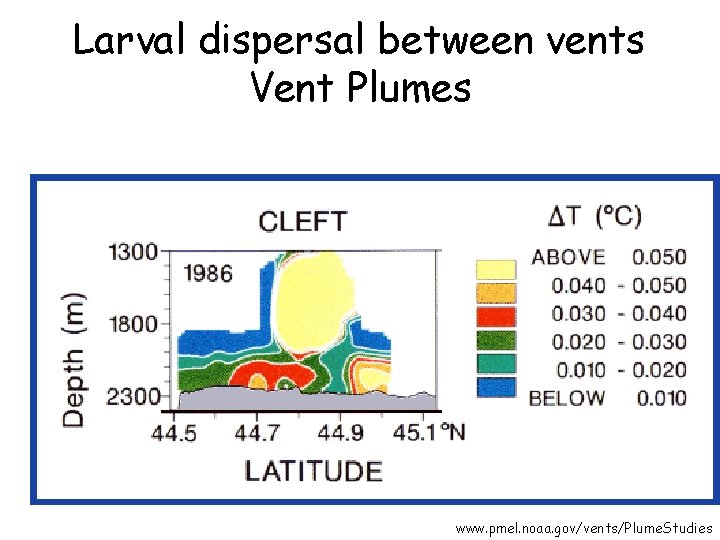 Larval dispersal between vents Vent Plumes www. pmel. noaa. gov/vents/Plume. Studies 