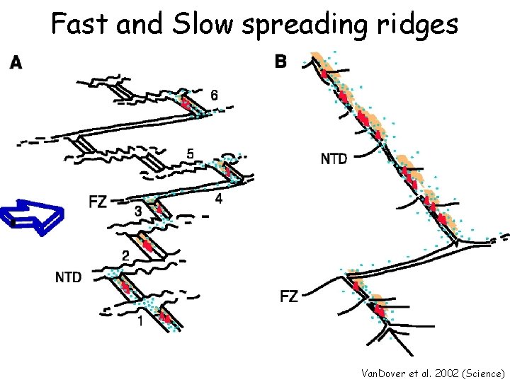 Fast and Slow spreading ridges Van. Dover et al. 2002 (Science) 