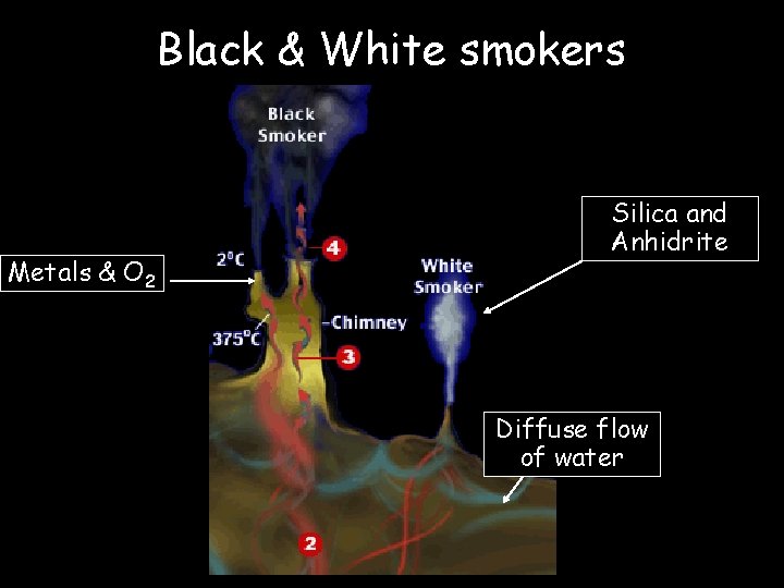 Black & White smokers Metals & O 2 Silica and Anhidrite Diffuse flow of