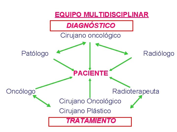 EQUIPO MULTIDISCIPLINAR DIAGNÓSTICO Cirujano oncológico Patólogo Radiólogo PACIENTE Oncólogo Cirujano vascular Radioterapeuta Cirujano Oncológico