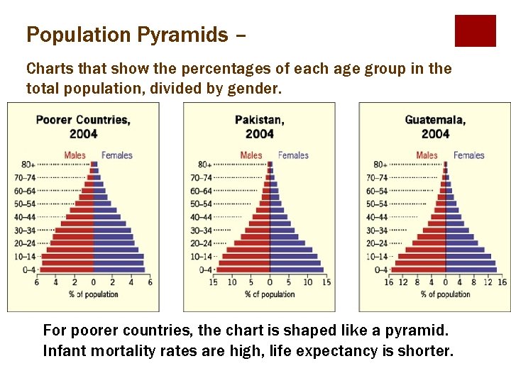 Population Pyramids – Charts that show the percentages of each age group in the