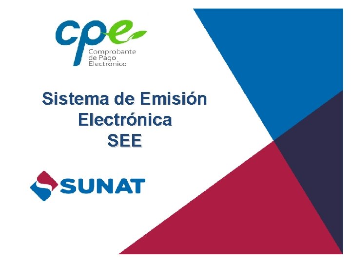 Sistema de Emisión Electrónica SEE 