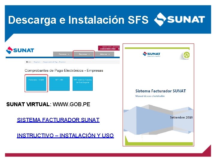 Descarga e Instalación SFS SUNAT VIRTUAL: WWW. GOB. PE SISTEMA FACTURADOR SUNAT INSTRUCTIVO –