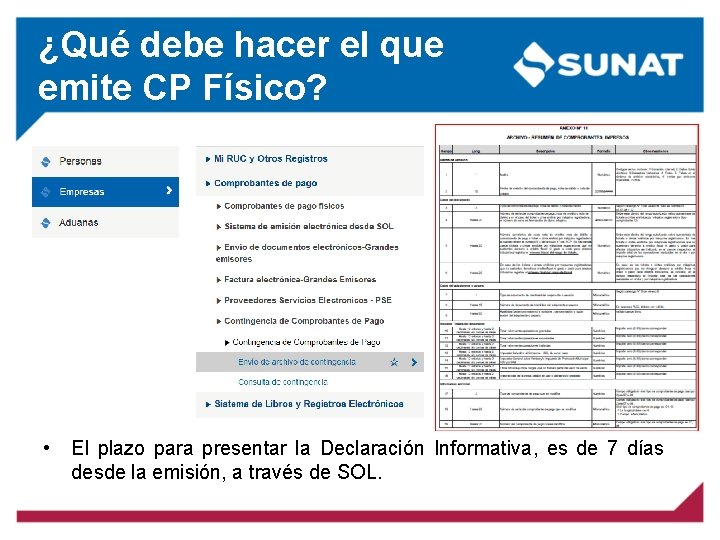 ¿Qué debe hacer el que emite CP Físico? • El plazo para presentar la