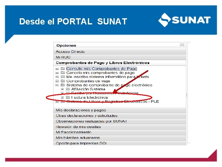 Desde el PORTAL SUNAT 