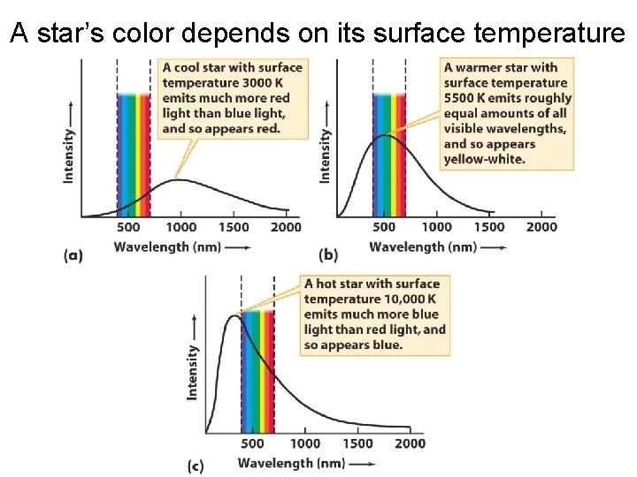 A star’s color depends on its surface temperature A star’s color depends on its surface temperature