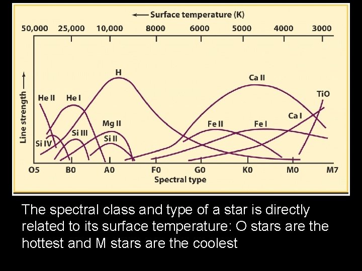 The spectral class and type of a star is directly related to its surface The spectral class and type of a star is directly related to its surface