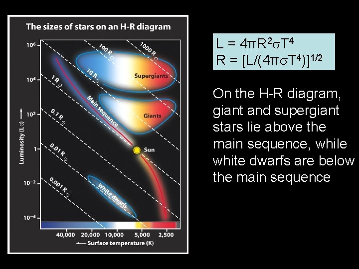 L = 4πR 2 T 4 R = [L/(4π T 4)]1/2 On the H-R