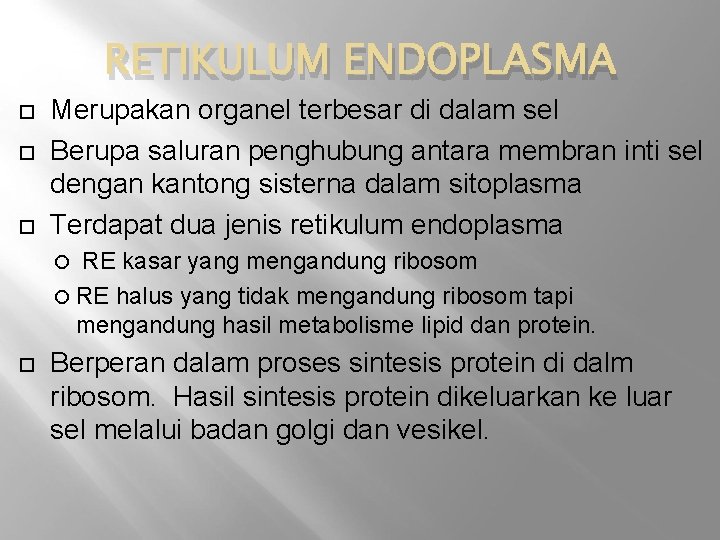 RETIKULUM ENDOPLASMA Merupakan organel terbesar di dalam sel Berupa saluran penghubung antara membran inti